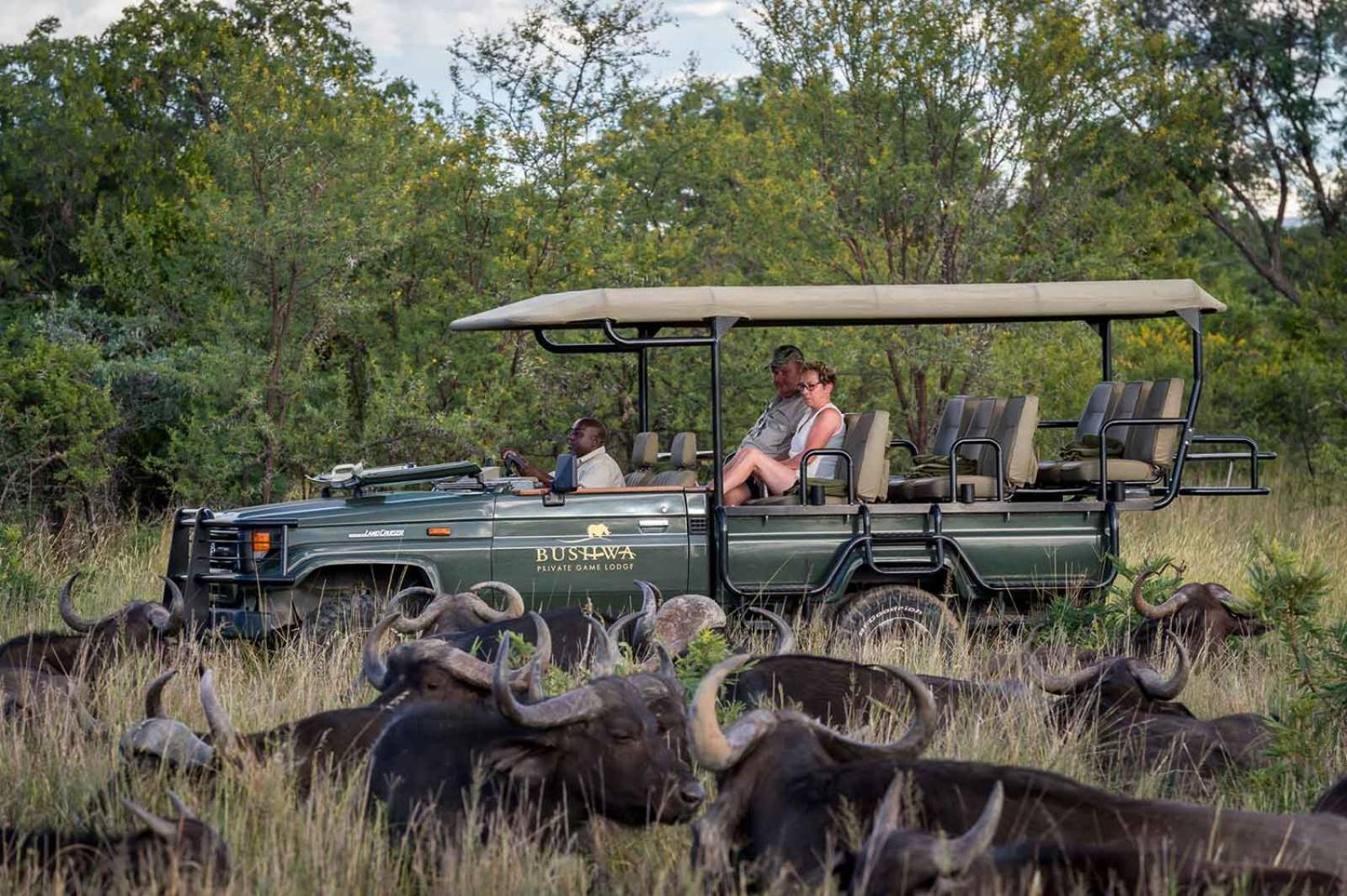Bushwa Private Game Lodge Vaalwater Exteriér fotografie