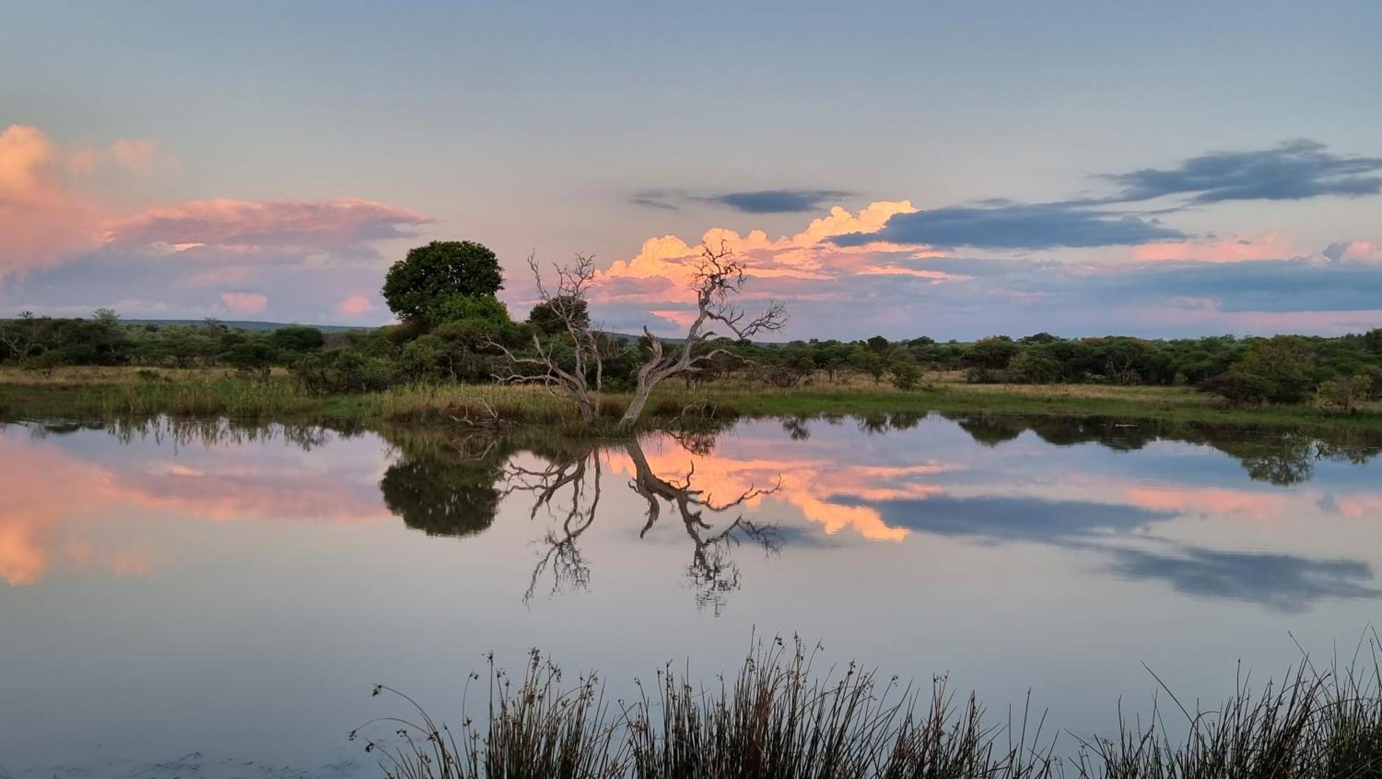 Bushwa Private Game Lodge Vaalwater Exteriér fotografie