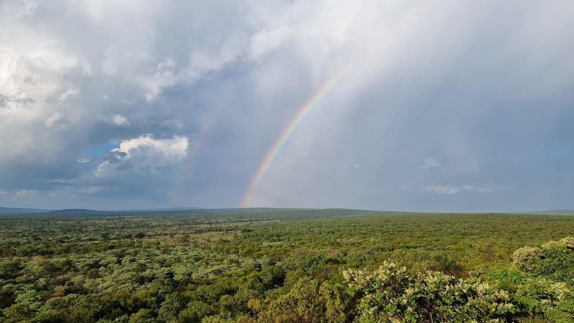 Bushwa Private Game Lodge Vaalwater Exteriér fotografie