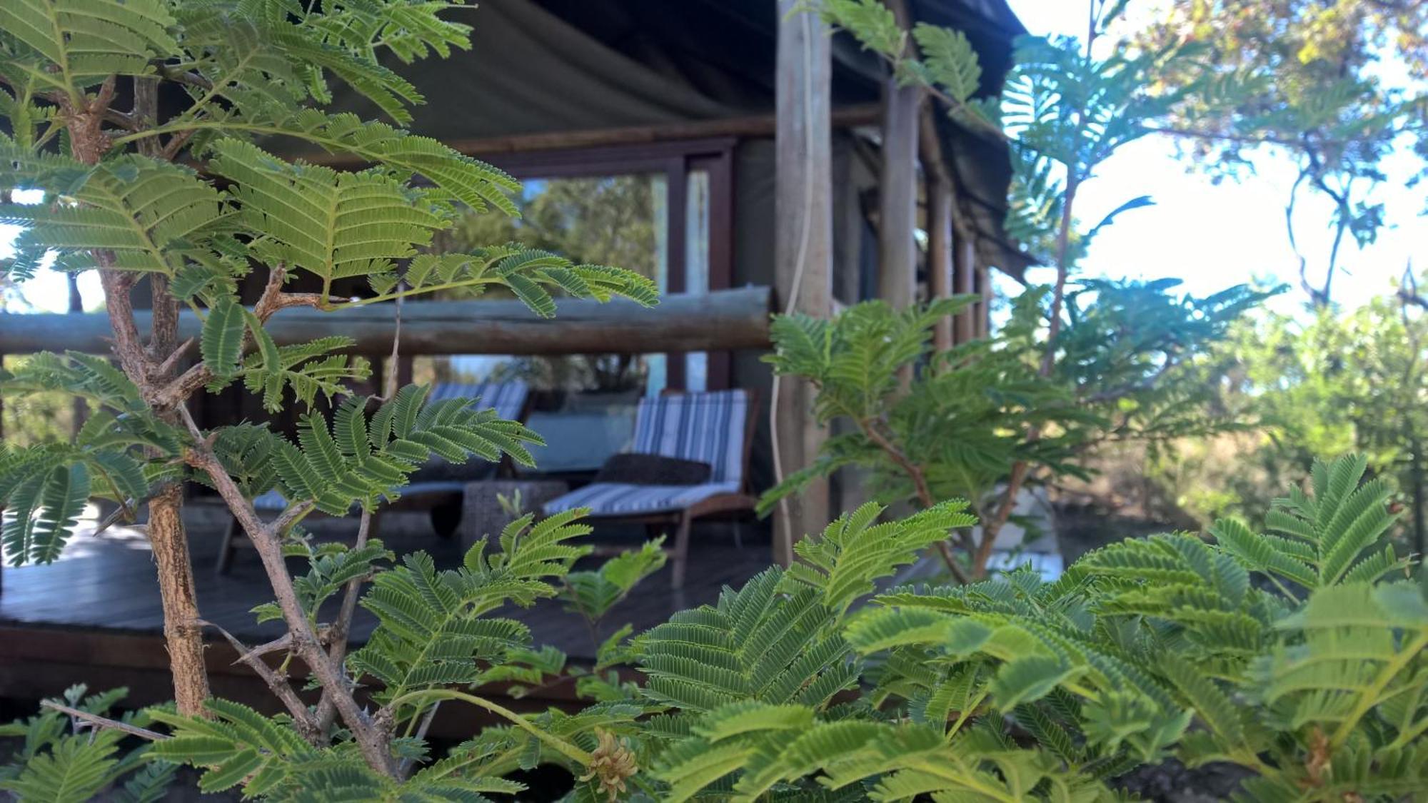 Bushwa Private Game Lodge Vaalwater Exteriér fotografie