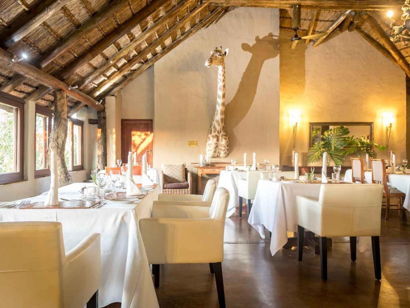 Bushwa Private Game Lodge Vaalwater Exteriér fotografie